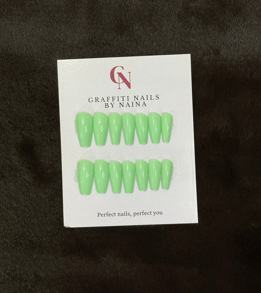 GN0018 - Evergreen